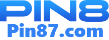 pin8 logo